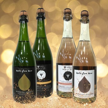 Munificent Sparkles Bundle